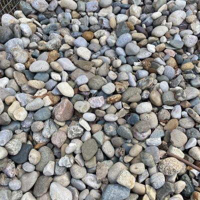 ROCK INDIAN CREEK JACKS 1-2"