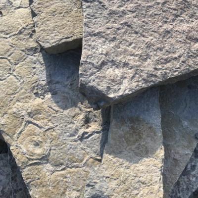 ROCK FLAGSTONE HICKORY GRAY 2" LB